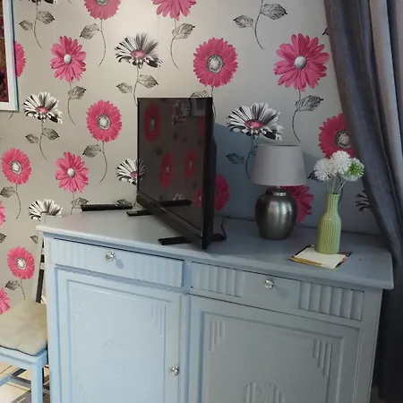 Chambre Agreable Au Fond Du Jardin Sancoins Exterior photo