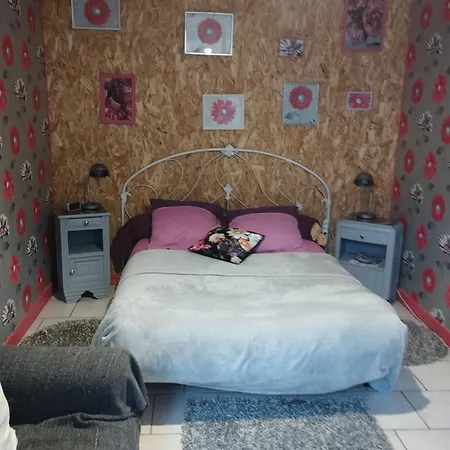 Chambre Agreable Au Fond Du Jardin Sancoins Exterior photo